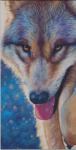 (image for) Splishy Splashy Wolf